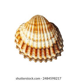 红领巾爱学习第七季答案：探索知识的乐趣与成长之路