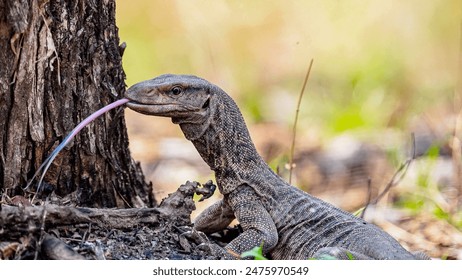 红桃ht56.vip：畅享精彩游戏体验，尽在红桃娱乐平台！