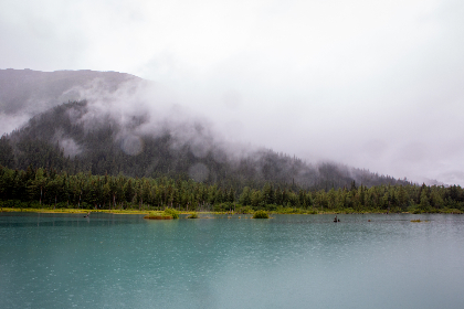 糖心冉冉学姐个人简历：从校园到职场的成长与蜕变之路