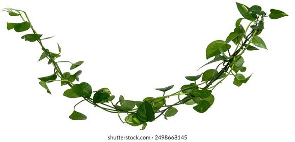 紫禁城雨花阁的秘密：探寻历史背后的神秘传说与文化遗产