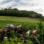 红杏视频打扑克免费:畅享无忧扑克乐趣,尽在红杏视频平台! giruuutb