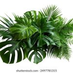 红领巾爱学习第四季答案全解析与精彩回顾 mn1nici7pp