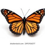 纤纤影视 在线 电视剧:畅享精彩剧集,尽在指尖轻松观看 qgo63yuh