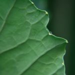 红桃视颏TV:探索新视界的精彩内容与无限可能 sfy0zm