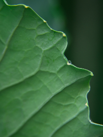 红桃视颏TV：探索新视界的精彩内容与无限可能