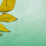 畅享多多影视剧追剧乐趣,发现精彩新剧 sifoux8hk