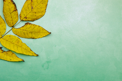 畅享多多影视剧追剧乐趣，发现精彩新剧