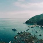 红领巾爱学习第五季答案:全面解析每一集精彩内容与知识点 sv08z