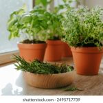 畅享在线电影免费完整观看,尽情体验精彩大片 wk1k48ww07