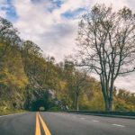 繁花似锦,七七影院带你领略电影的魅力 yxa1p3